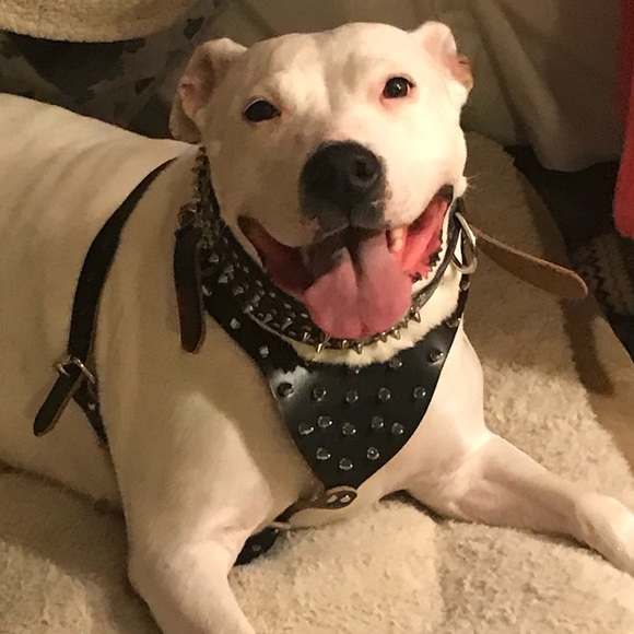 Hello Beautiful! 🦋 - Picture 5 of 5